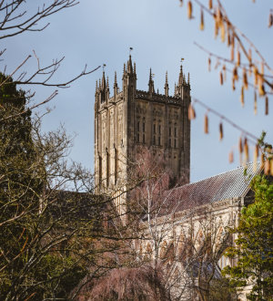 Wells Cathedral